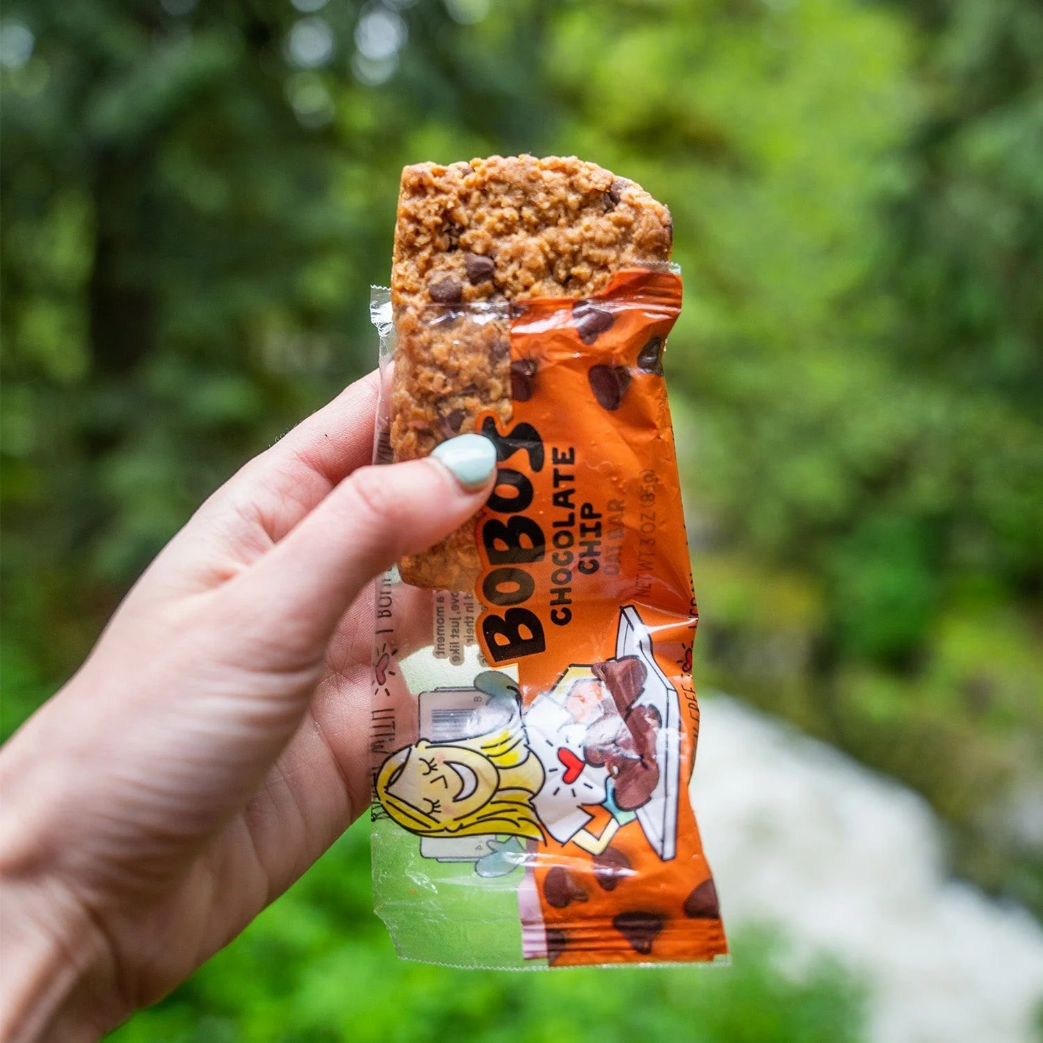 Chocolate Chip Oatmeal Bar - Image 3