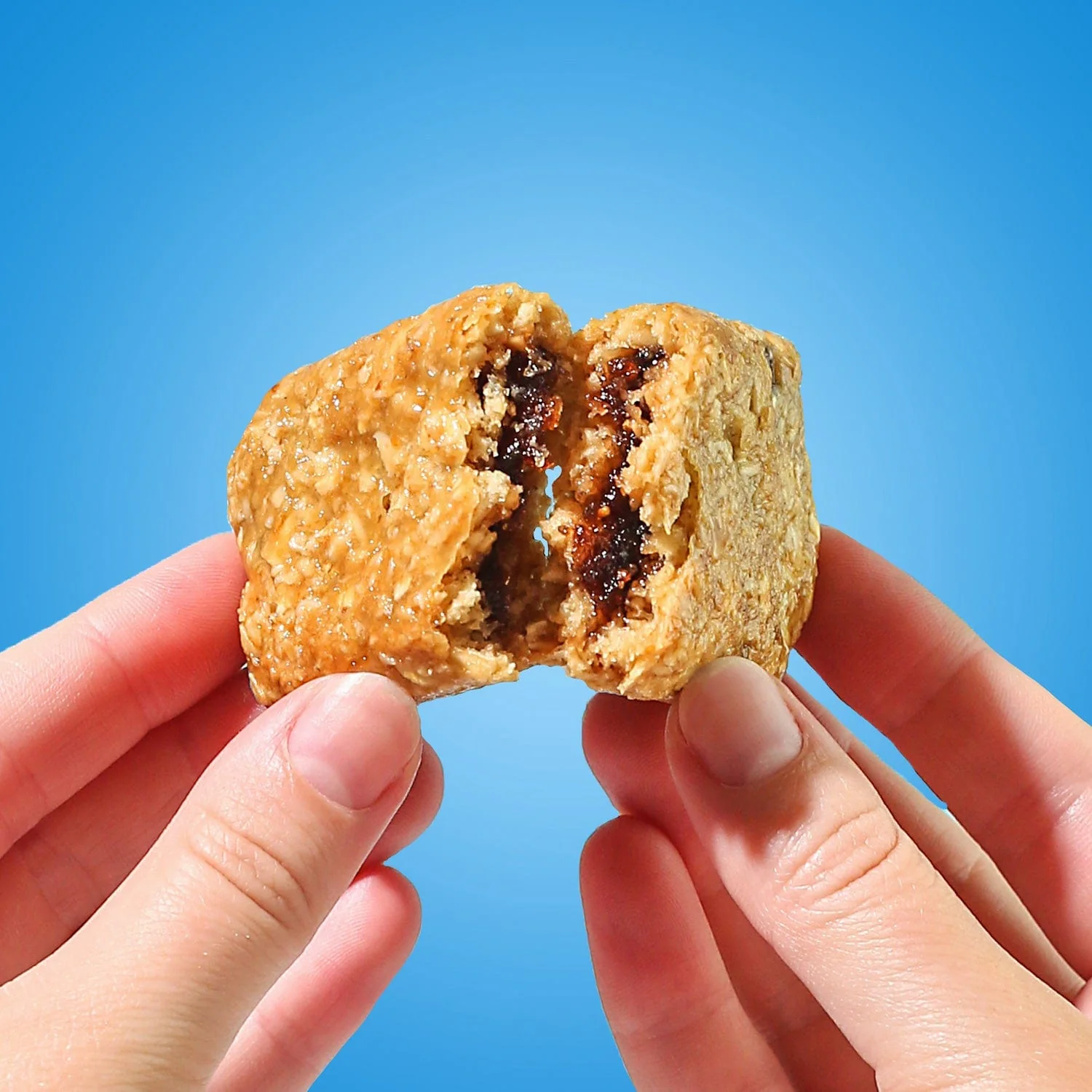 Blueberry Fig Bars - Image 2
